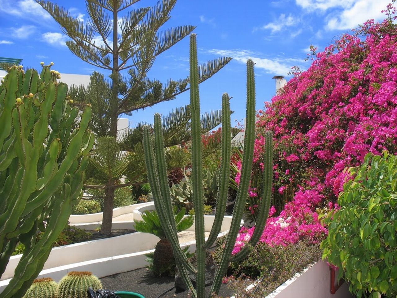 Apartamentos El Guarapo Costa Teguise Dış mekan fotoğraf